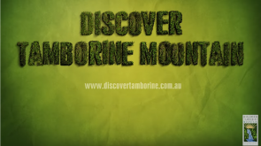 坦柏林山 坦柏林山